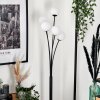 Bernado Lámpara de Pie - Cristal 10 cm Blanca, 5 luces