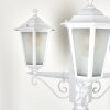 Loria Candelabro Blanca, 3 luces