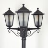 Loria Candelabro Negro, 3 luces