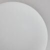 Chehalis Lámpara de Techo - Szkło 10 cm Blanca, 6 luces
