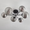 Chehalis Lámpara de Techo - Szkło 12 cm, 15 cm Ahumado, 6 luces