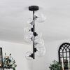 Chehalis Lámpara de Techo - Cristal 10 cm, 12 cm, 15 cm Transparente, 8 luces
