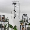 Chehalis Lámpara de Techo - Cristal 10 cm, 12 cm, 15 cm Transparente, 8 luces