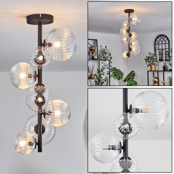 Chehalis Lámpara de Techo - Cristal 10 cm, 12 cm, 15 cm Transparente, 8 luces