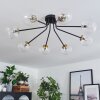 Chehalis Lámpara de Techo - Cristal 12 cm, 15 cm dorado, Negro, 8 luces