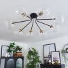 Chehalis Lámpara de Techo - Cristal 15 cm dorado, Negro, 8 luces