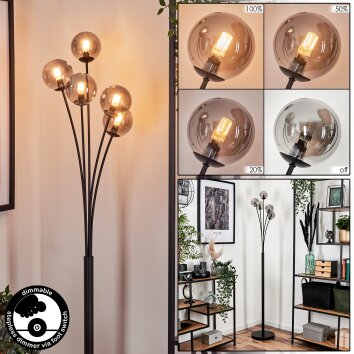 Bernado Lámpara de Pie - Cristal 10 cm Ahumado, 5 luces