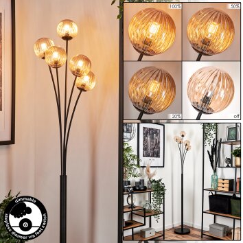 Bernado Lámpara de Pie - Cristal 10 cm Colores ámbar, 5 luces