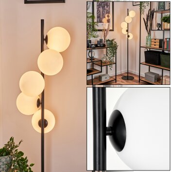 Remaisnil Lámpara de Pie - Szkło 15 cm Blanca, 5 luces