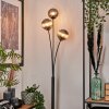 Bernado Lámpara de Pie - Szkło 12 cm Ahumado, 3 luces