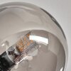 Chehalis Lámpara de Techo - Szkło 10 cm Ahumado, 6 luces