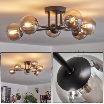 Chehalis Lámpara de Techo - Cristal 10 cm Ahumado, 6 luces