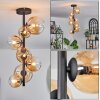 Chehalis Lámpara de Techo - Cristal 10 cm, 12 cm, 15 cm Colores ámbar, Transparente, 8 luces