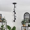 Chehalis Lámpara de Techo - Cristal 10 cm Transparente, 8 luces