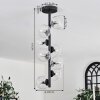 Chehalis Lámpara de Techo - Szkło 10 cm Transparente, 8 luces