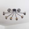 Chehalis Lámpara de Techo - Cristal 10 cm dorado, Negro, 8 luces