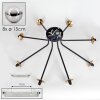 Chehalis Lámpara de Techo - Cristal 15 cm dorado, Negro, 8 luces