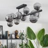 Chehalis Lámpara de Techo - Cristal 10 cm, 12 cm, 15 cm Ahumado, 10 luces
