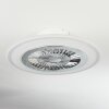 Terradura Ventilador de techo LED Cromo, Blanca, 1 luz, Mando a distancia