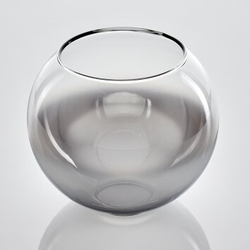 Koyoto Recambio de cristal 15 cm Cromo, Transparente, Ahumado