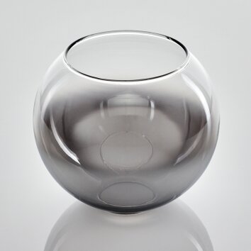 Koyoto Recambio de cristal 15 cm Transparente, Ahumado