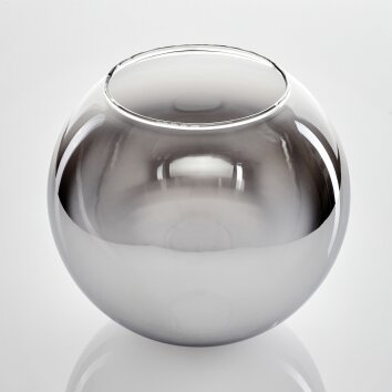 Koyoto Recambio de cristal 20 cm Cromo, Transparente, Ahumado