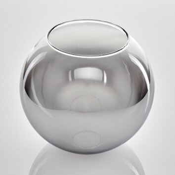 Koyoto Recambio de cristal 20 cm Transparente, Ahumado