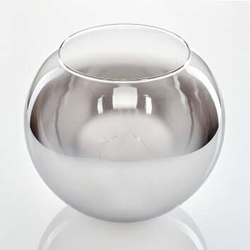 Koyoto Recambio de cristal 25 cm Cromo, Transparente, Ahumado