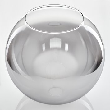 Koyoto Recambio de cristal 30 cm Transparente, Ahumado