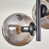 Gastor Lámpara de Techo - Cristal 15 cm Ahumado, 8 luces