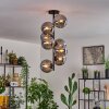 Gastor Lámpara de Techo - Cristal 15 cm Ahumado, 8 luces