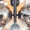 Gastor Lámpara de Techo - Cristal 15 cm Colores ámbar, Ahumado, 8 luces