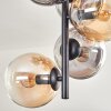 Gastor Lámpara de Techo - Szkło 15 cm Colores ámbar, Transparente, Ahumado, 8 luces