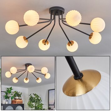 Chehalis Lámpara de Techo - Cristal 10 cm dorado, Negro, 8 luces
