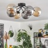 Chehalis Lámpara de Techo - Cristal 15 cm Colores ámbar, Ahumado, 6 luces