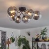 Chehalis Lámpara de Techo - Cristal 15 cm Transparente, Ahumado, 6 luces