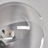 Chehalis Lámpara de Techo - Szkło 15 cm Transparente, Ahumado, 6 luces
