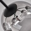 Chehalis Lámpara de Techo - Szkło 15 cm Transparente, Ahumado, 6 luces