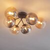 Chehalis Lámpara de Techo - Szkło 15 cm Colores ámbar, Transparente, Ahumado, 6 luces