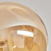 Chehalis Lámpara de Techo - Szkło 15 cm Colores ámbar, 6 luces