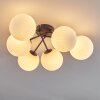 Chehalis Lámpara de Techo - Szkło 15 cm Blanca, 6 luces