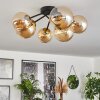 Chehalis Lámpara de Techo - Cristal 12 cm, 15 cm dorado, Negro, 6 luces