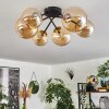 Chehalis Lámpara de Techo - Cristal 12 cm, 15 cm dorado, Negro, 6 luces