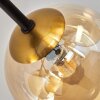 Chehalis Lámpara de Techo - Szkło 12 cm, 15 cm dorado, Negro, 6 luces