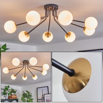 Chehalis Lámpara de Techo - Cristal 10 cm dorado, Negro, 8 luces