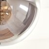 Gastor Lámpara de Techo - Szkło 15 cm Ahumado, 5 luces