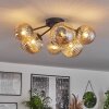 Chehalis Lámpara de Techo - Cristal 12 cm, 15cm Ahumado, 6 luces