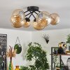 Chehalis Lámpara de Techo - Cristal 12 cm, 15cm Ahumado, 6 luces