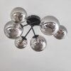 Chehalis Lámpara de Techo - Szkło 12 cm, 15cm Ahumado, 6 luces