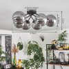 Chehalis Lámpara de Techo - Cristal 15 cm Ahumado, 6 luces